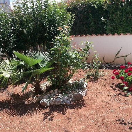 Ferienhaus Bozena Appartment 2 Vrsar Εξωτερικό φωτογραφία