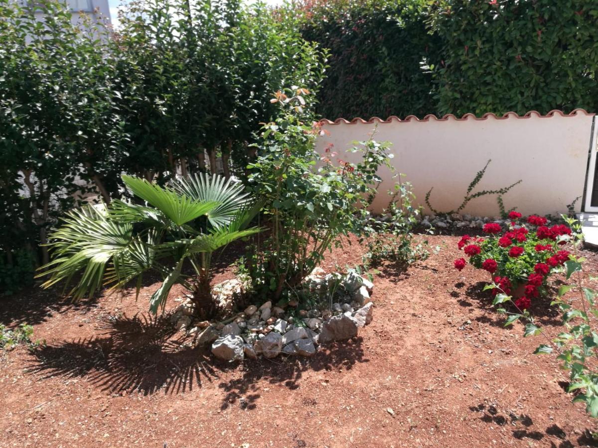 Ferienhaus Bozena Appartment 2 Vrsar Εξωτερικό φωτογραφία
