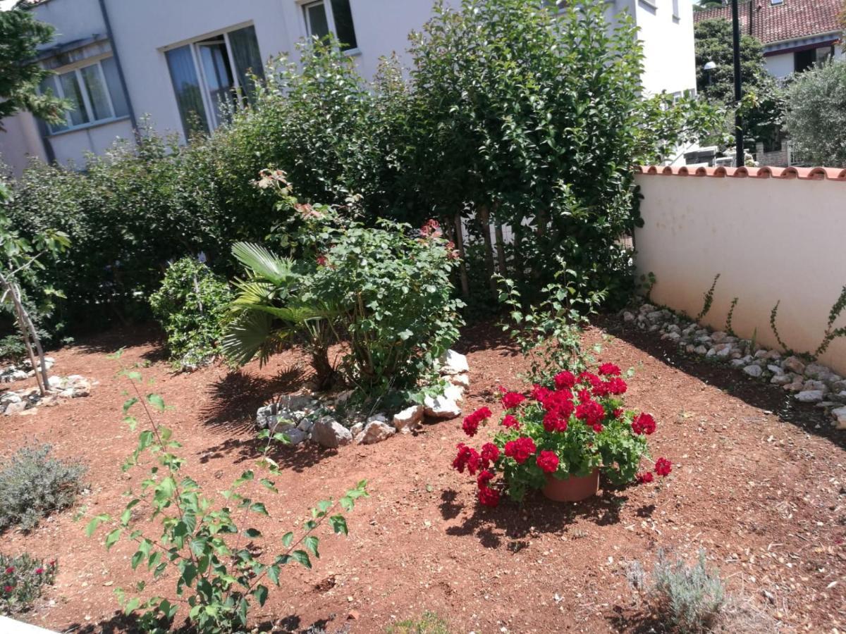 Ferienhaus Bozena Appartment 2 Vrsar Εξωτερικό φωτογραφία